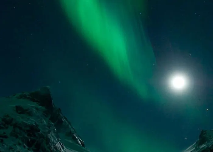 9 Person In * Inndyr